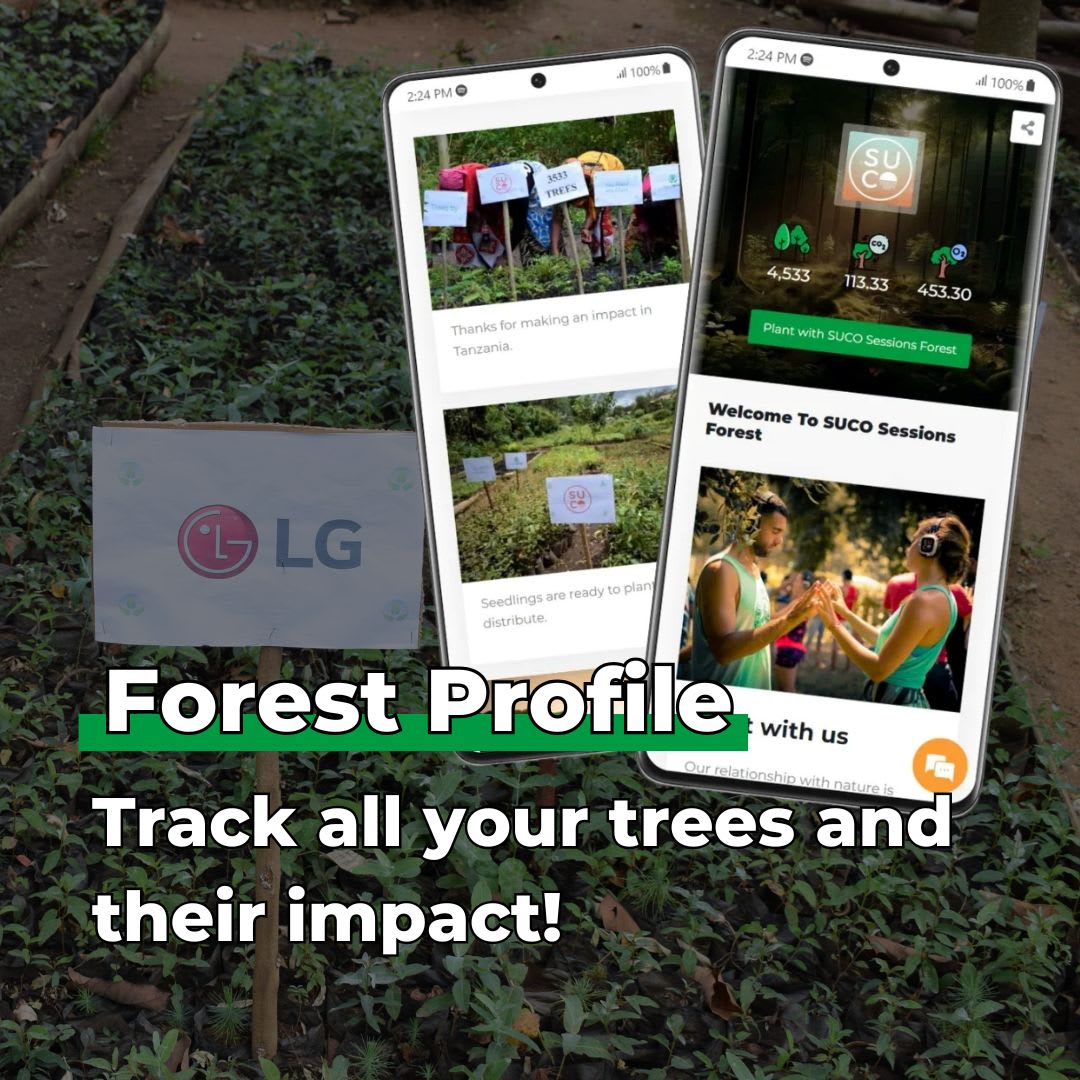 Forest Guardian 3 Tree Pack