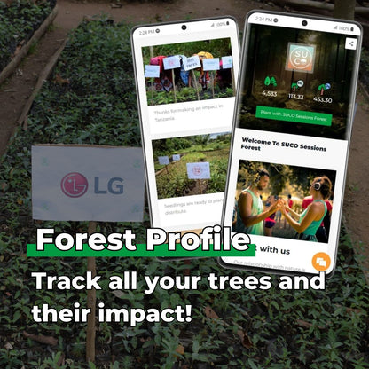 Forest Guardian 3 Tree Pack
